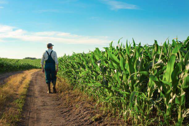 170 сімейних фермерських господарств отримали компенсацію ЄСВ від держави