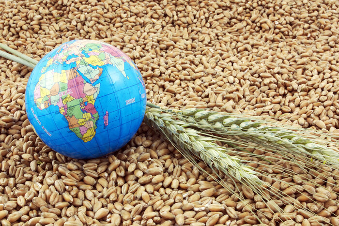 За продовольчу інфляцію заплатять усі: експерт пророкує ріст світових цін на зерно без українського експорту