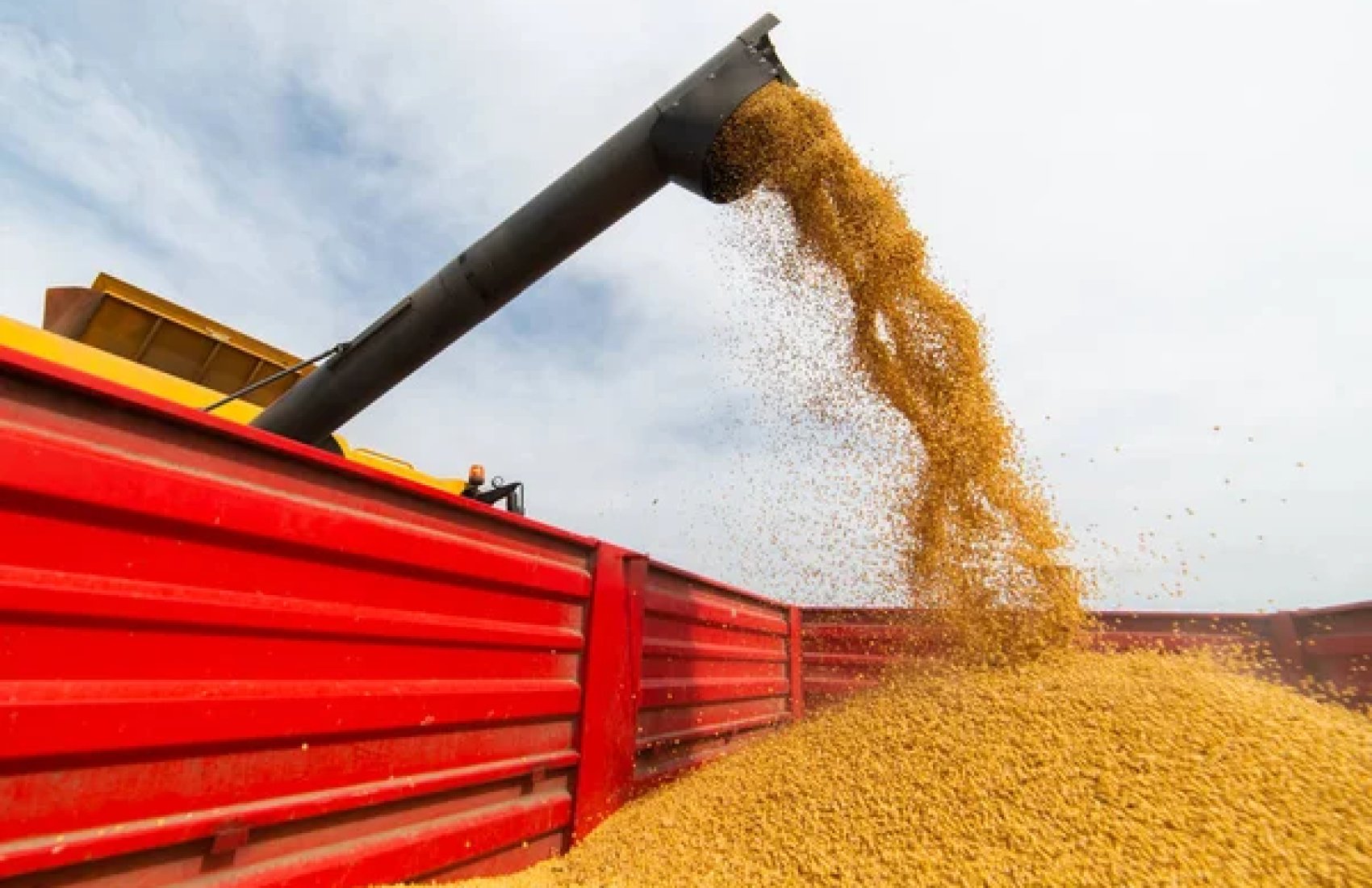 Вихід рф із “зернової угоди”: ЄС спробує збільшити сухопутний експорт українського зерна 