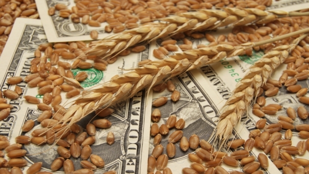 Ціни на пшеницю впали, хоча площі сівби та запаси виявилися нижчими, ніж очікувалося