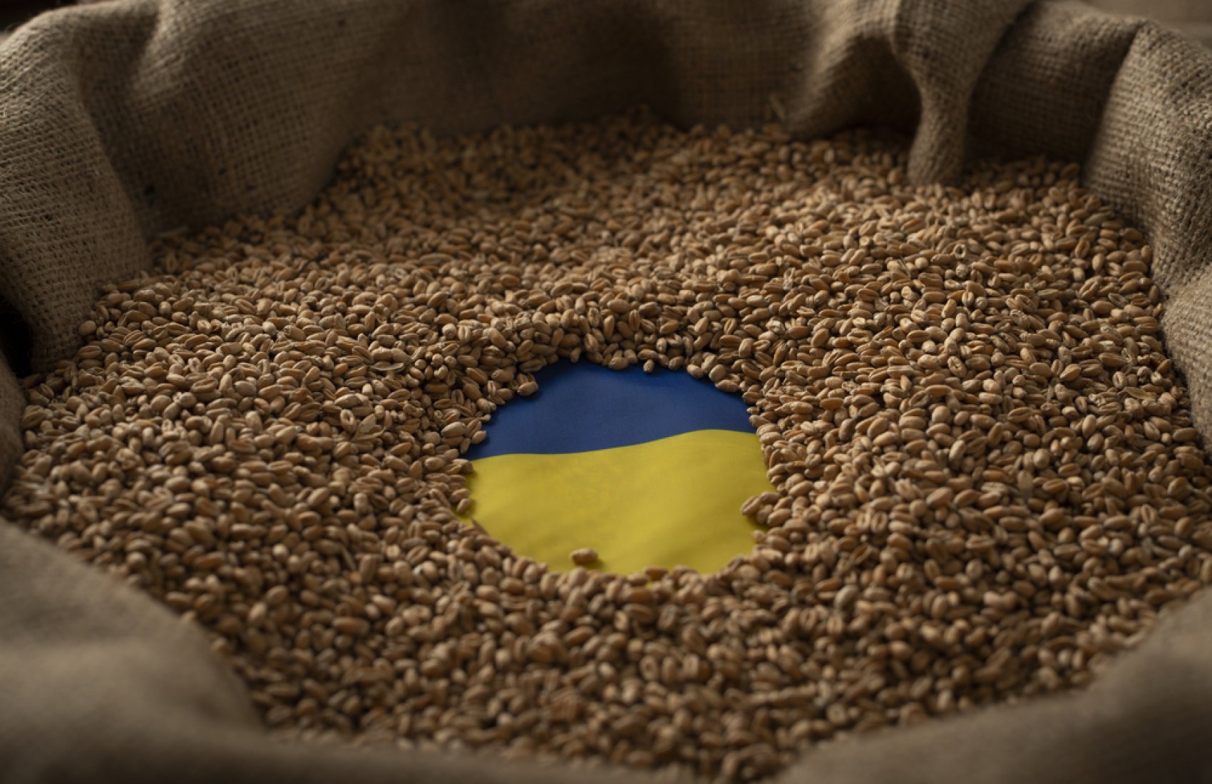 Чи посварить українське зерно росію з Китаєм