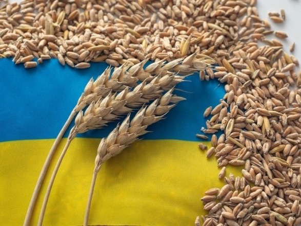 П’ять країн ЄС хочуть продовжити дію заборони на імпорт українського зерна