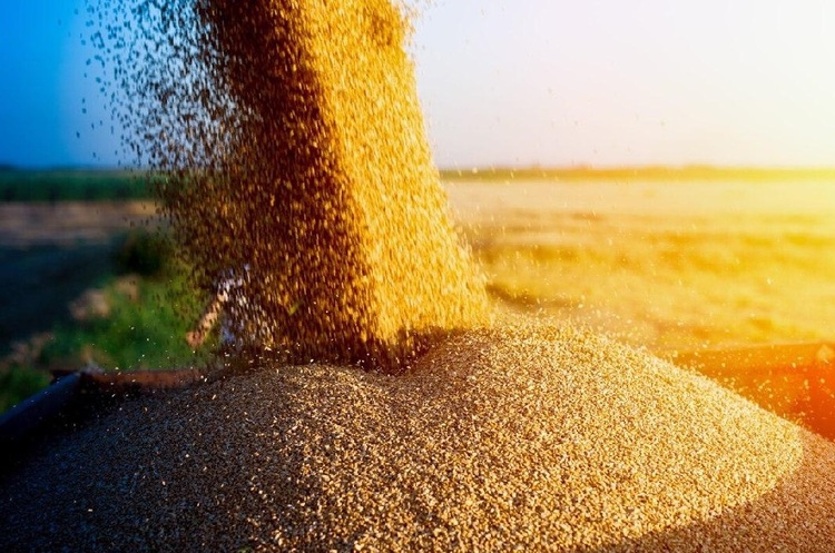 Як вихід рф із “зернової угоди” вплине на ціни: прогноз МВФ