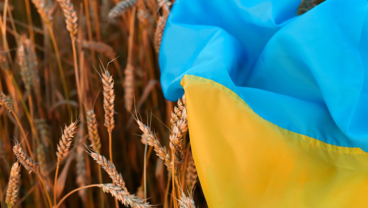 Україна вже експортувала більше 40 млн тонн зерна