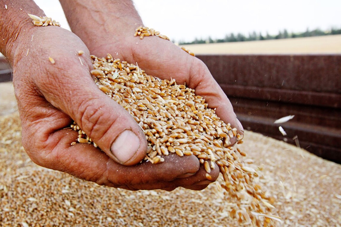 Українці разом із британцями придумали спосіб довести, що рф продає крадене зерно: деталі