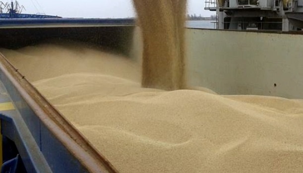 На Одещині завантажувати зерно зможуть тільки «білі» компанії