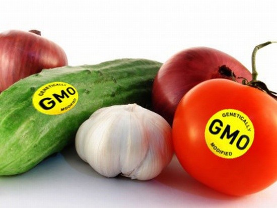 Верховна Рада легалізувала ГМО
