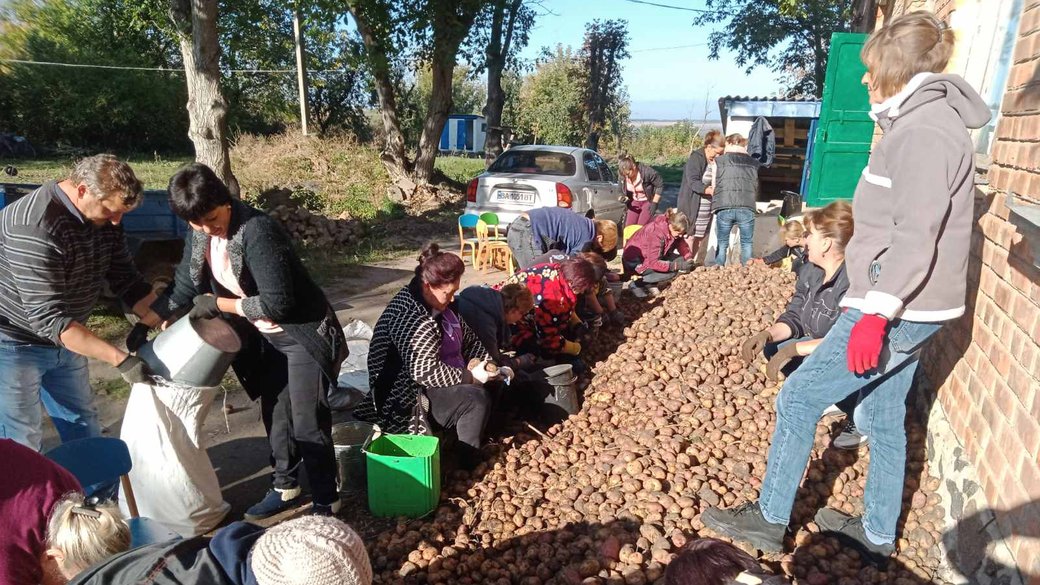 Ціна й урожай на рівні торішніх. Чого очікувати від збирання картоплі в Україні