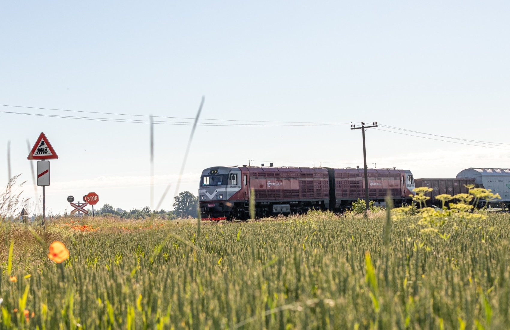 Латвія готується восени перевозити українське зерно залізницею