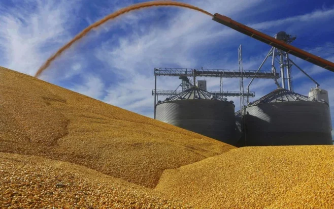 УЗ не планує надавати 30% знижку на перевезення агропродукції до портів Дунаю