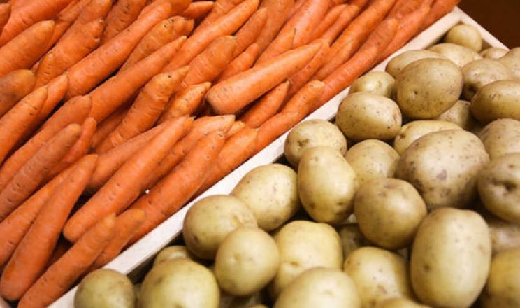 Дешевшає морква, картопля та цибуля: ціни на овочі