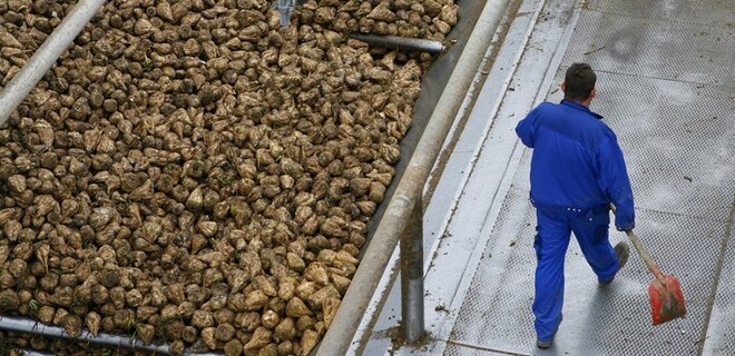Французьких фермерів попросили не збільшувати посіви буряку: бояться конкуренції з Україною