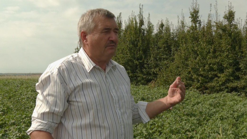 “Експерименти на полі”: як фермер з Хмельниччини збирає картоплю двічі на рік