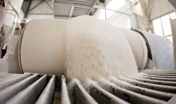 Скільки цукру виготовлять українські заводи
