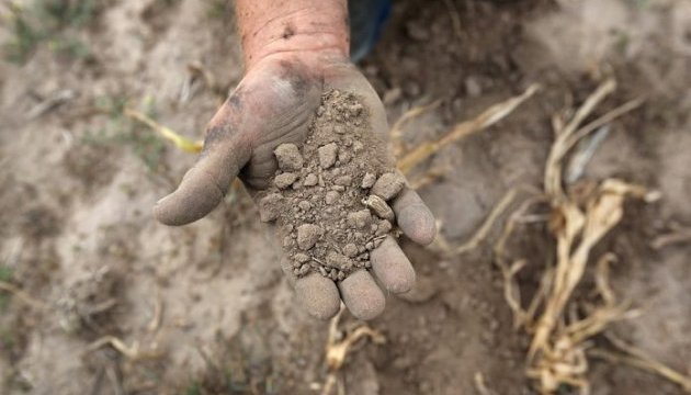В Україні поглиблюється ґрунтова посуха – Укргідрометеоцентр