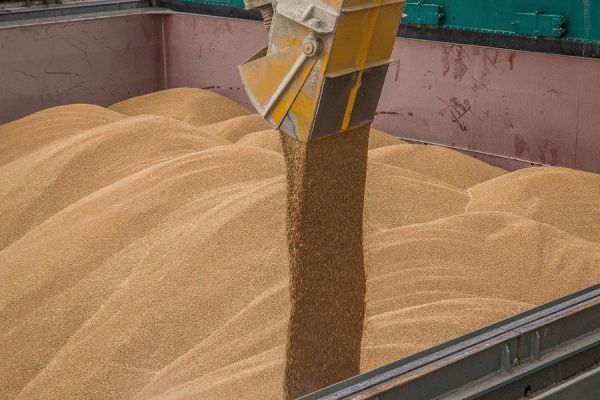 Експорт українського зерна в листопаді перевищив 3 млн тонн