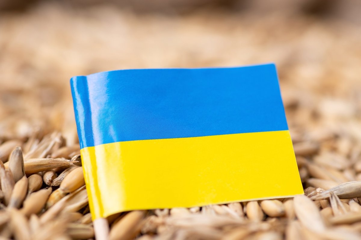 ЄС відхилив ініціативу Польщі про повернення мита на експорт агропродукції з України