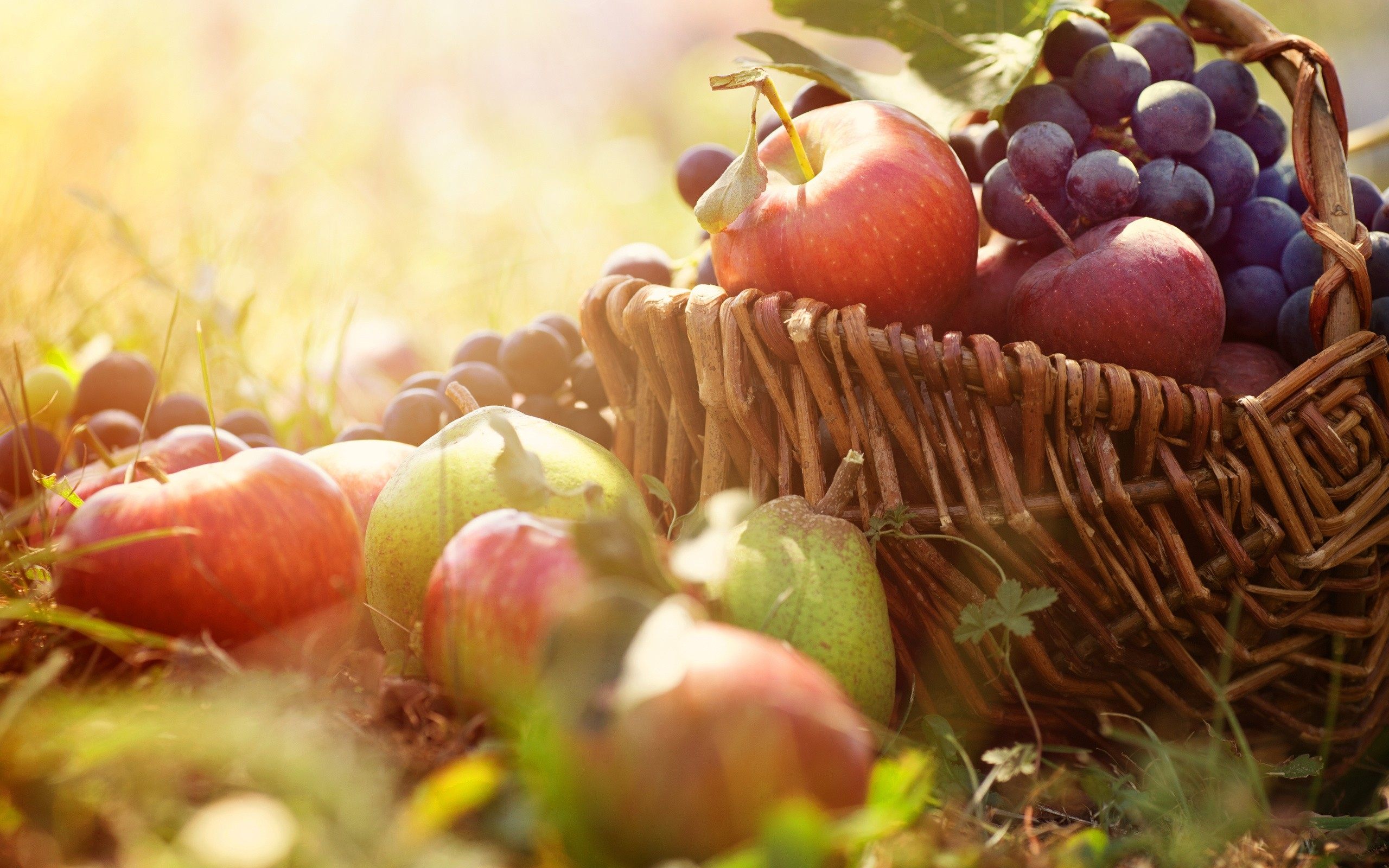 Уряд змінив правила отримання грантів для садівництва, виноградарства та розвитку тепличного господарства