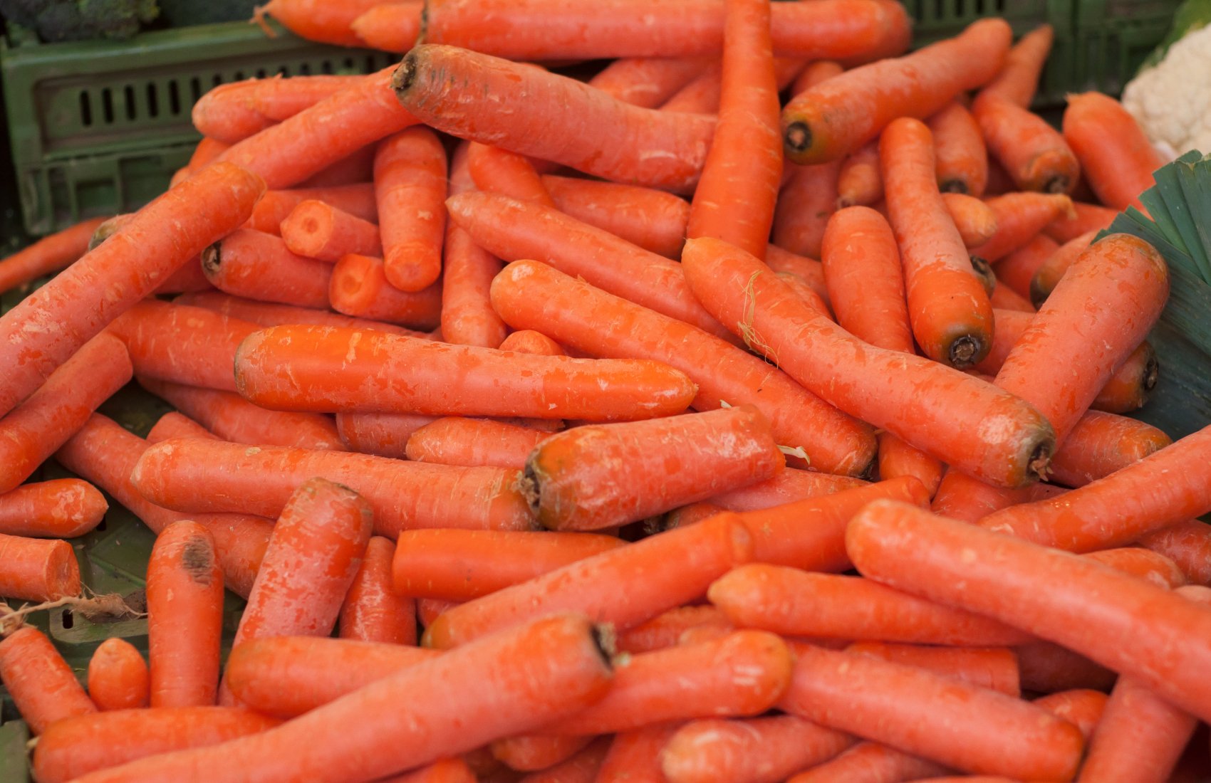 Морква в Україні вже вдвічі дешевша, ніж торік