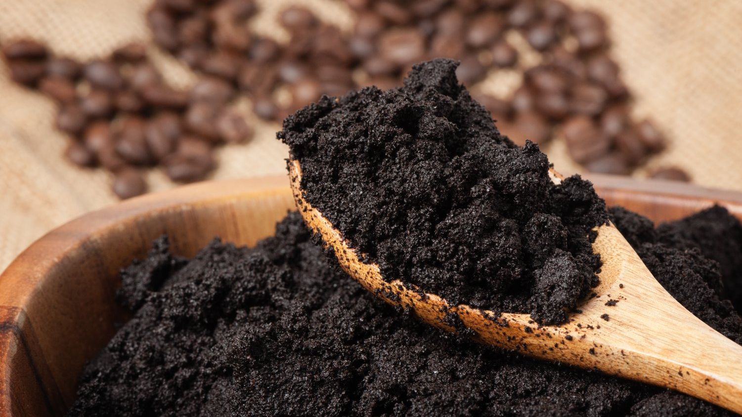 Вчені переробили кавову гущу на біорозкладану плівку для упаковки їжі