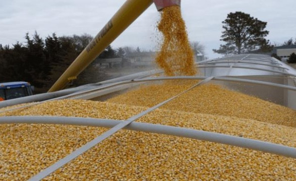 Україна розширює “шляхи солідарності” для експорту зерна