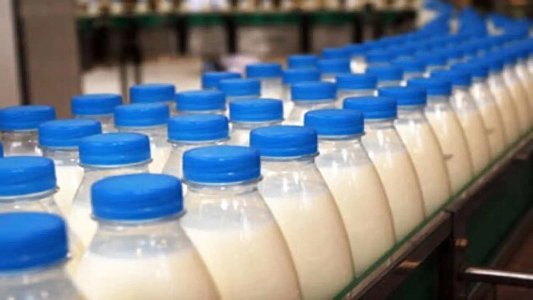 Молочна продукція дорожчатиме через дефіцит сировини