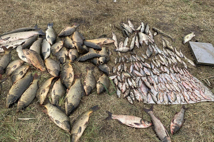 Штраф на майже 700 тисяч грн: на Вінниччині рибалки незаконно виловили 218 кг риби