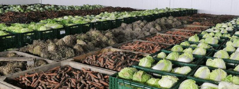 В Україні у цьому році побудували вже 15 овочесховищ