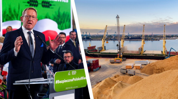 Польща збудує перший зерновий порт, що покращить транзит зерна з України