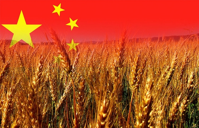 Китай цьогоріч планує зібрати рекордний урожай зерна