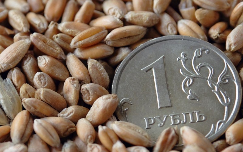 рф переходить на торгівлю зерном за рублі з 1 листопада