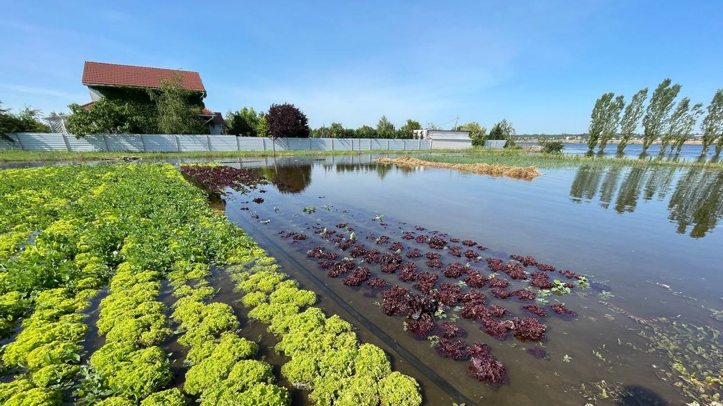 Аграрії Херсонщини вже отримали понад 7 млн грн відшкодування за втрачений врожай