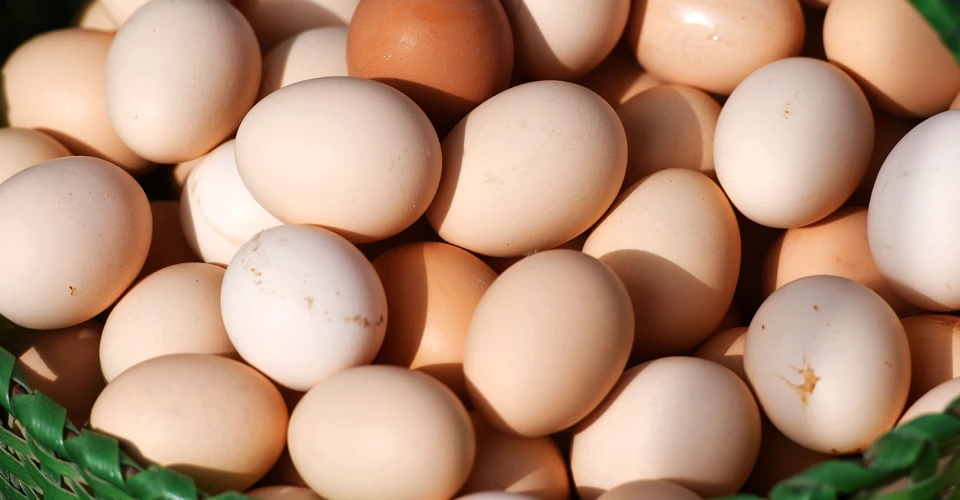 “Рекордсменом зі зростання будуть яйця”: які продукти подорожчають узимку