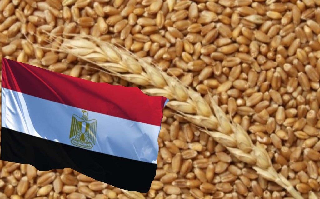 ЄС хоче постачати до Єгипту зернові з України в рамках угоди про підтримку