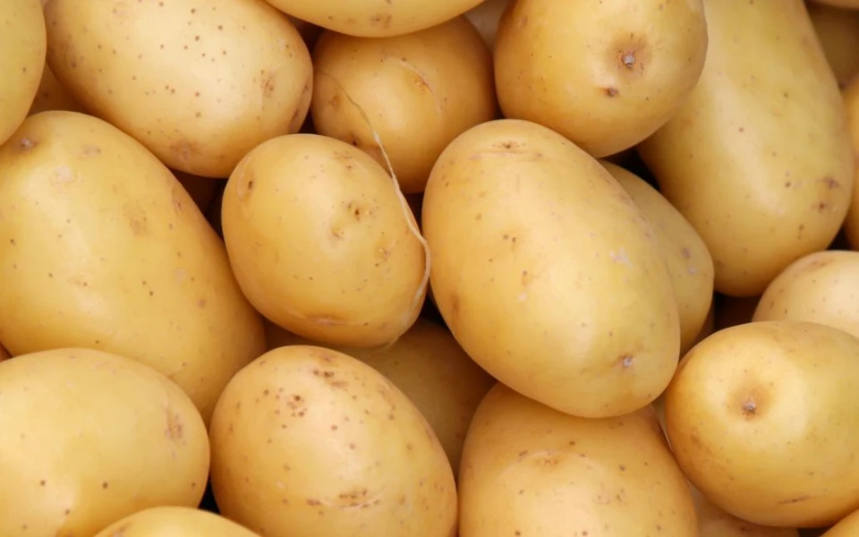 Де і як зберігати картоплю, щоб споживати її цілий рік