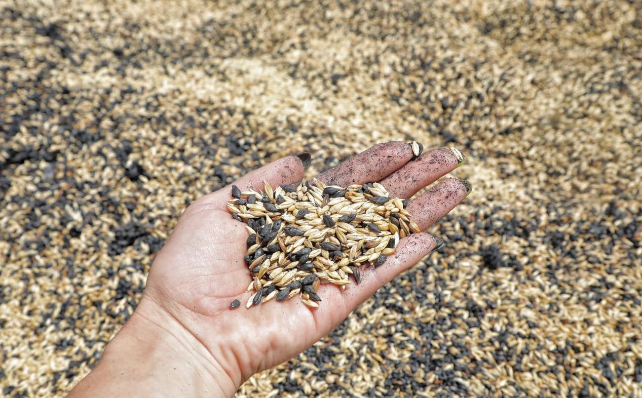 Україна готова до додаткових перевірок зерна в Польщі