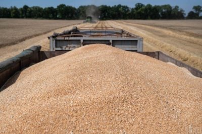 У Латвії різко зріс імпорт російського зерна