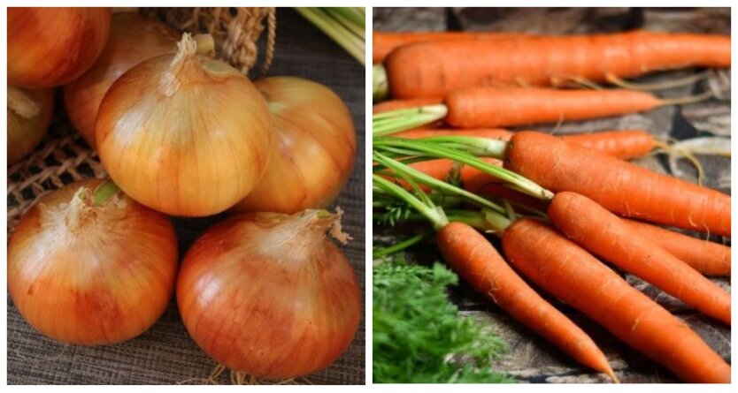 Морква по 7, а цибуля по 100 гривень: як змінилися ціни на овочі