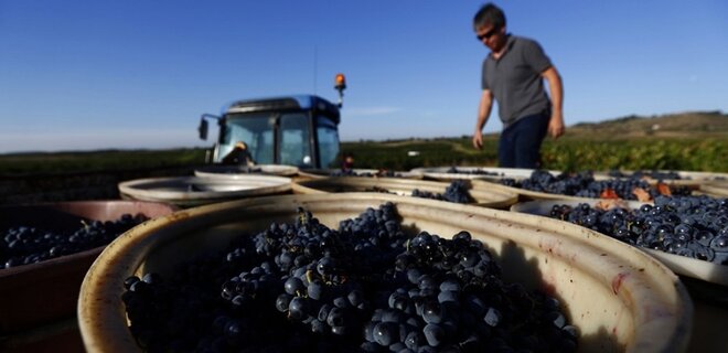 Виробництво вина у світі буде найнижчим за останні 60 років