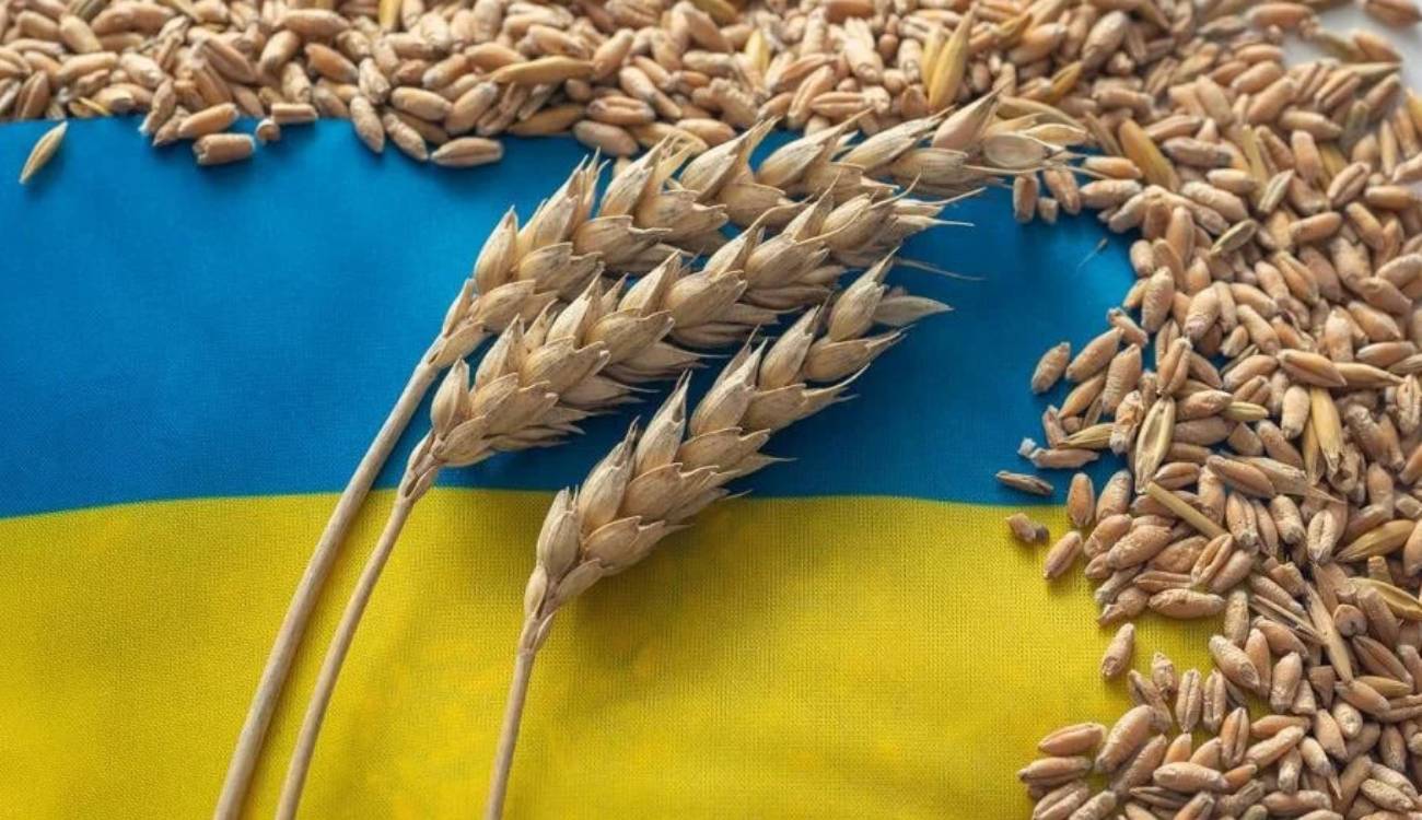 Обсяг вкраденого рф з окупованих територій українського зерна вже перевищив мільярд доларів