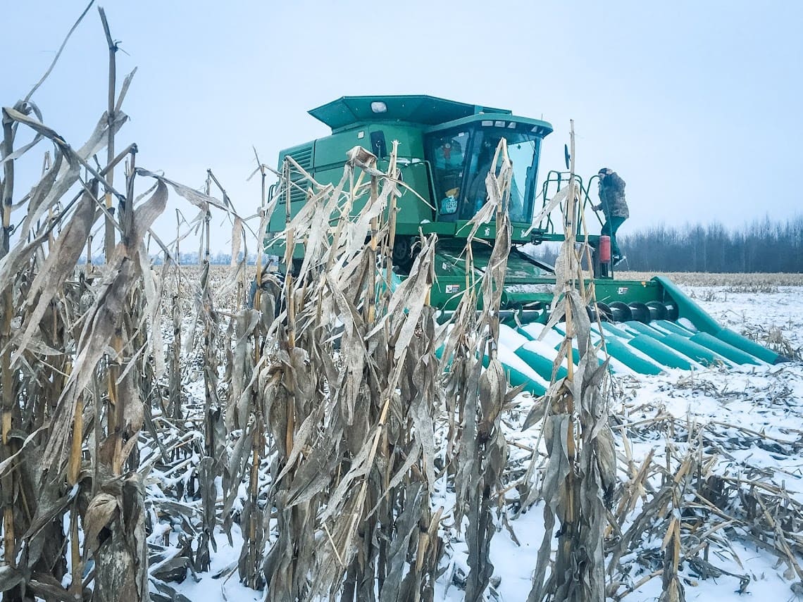Українські аграрії майже завершили збір врожаю – залишилась тільки кукурудза