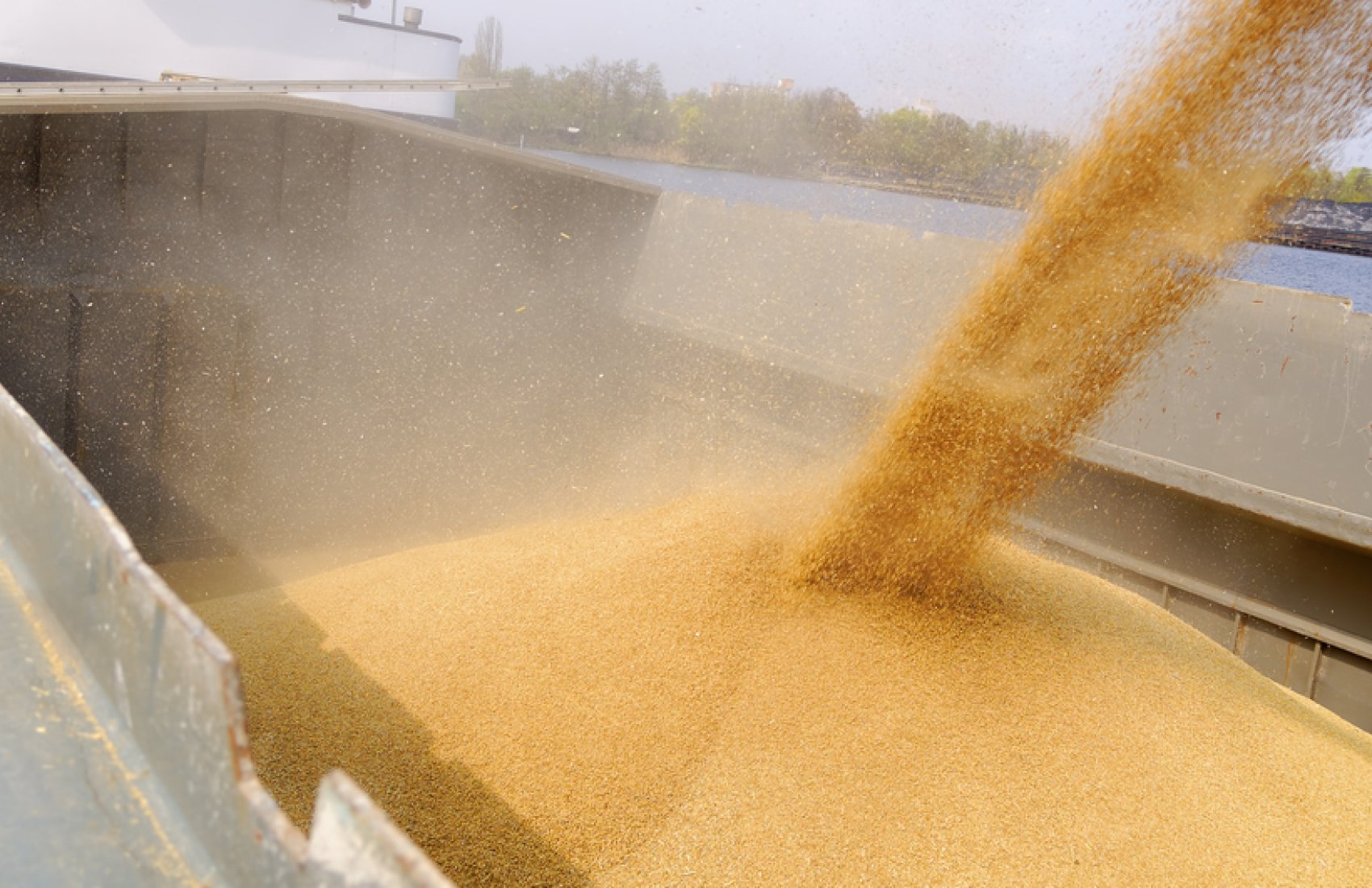 Українська пшениця активно відвантажується через морські порти: очікується зростання цін