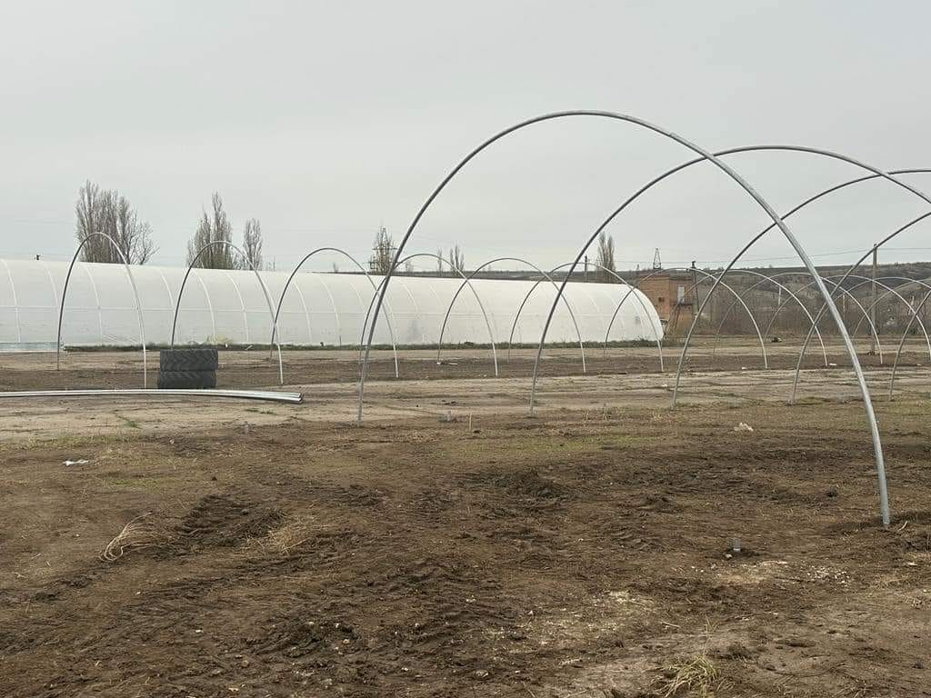 Велика українська агрокомпанія інвестує у розширення овочівництва та будівництво теплиць