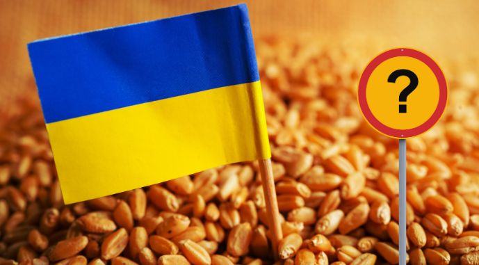 Замінити українське зерно на світових ринках імпортерам коштуватиме значно дорожче