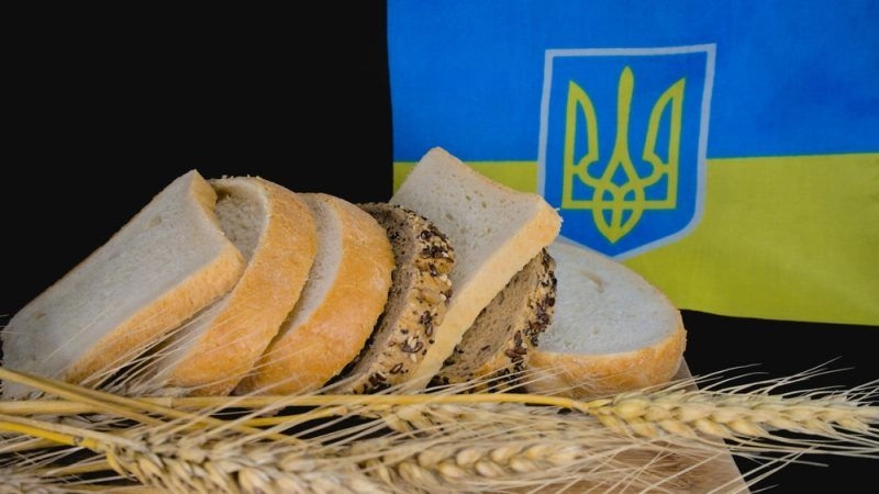 Румунія не імпортувала українську сільгосппродукцію останні пів року