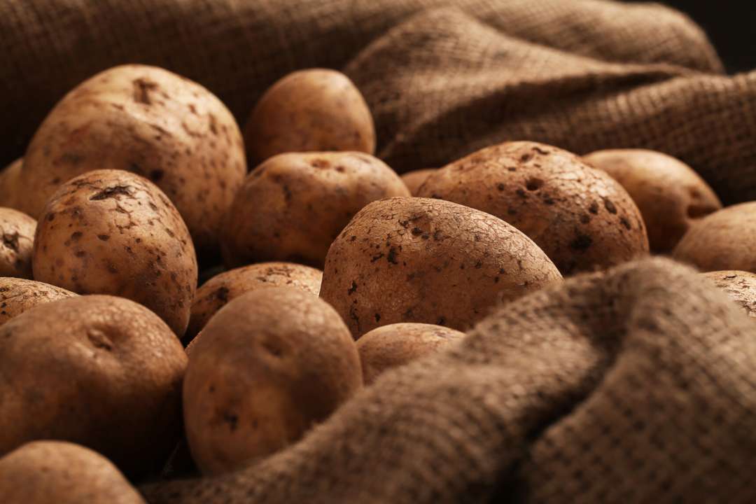 В Україні стрімко дорожчає картопля: які ціни
