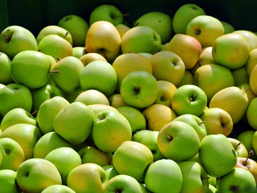 Ціни на фрукти: скільки коштують яблука, виноград та лимони