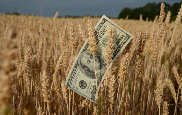 Активізація попиту з боку імпортерів підтримує ціни на продовольчу пшеницю