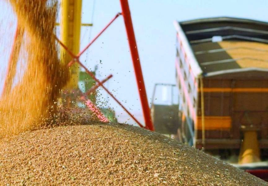 Східні країни ЄС вимагають ввізних мит на українське зерно