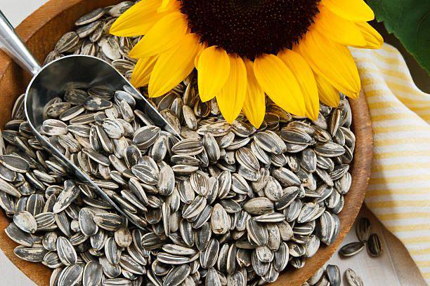 ФАО оголосила тендер на закупівлю насіння сої та соняшника